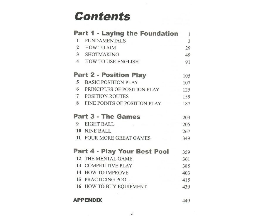 Play Your Best Pool 2 Play Your Best Pool - Image 2